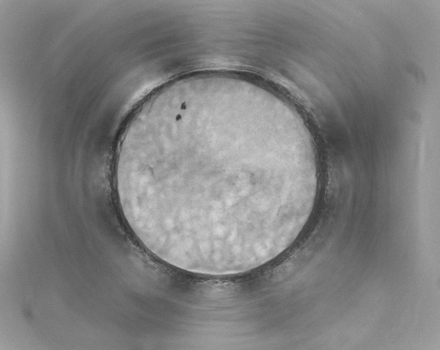 X0000115561314200911201814