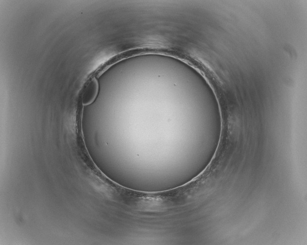 X0000115561315200911201814