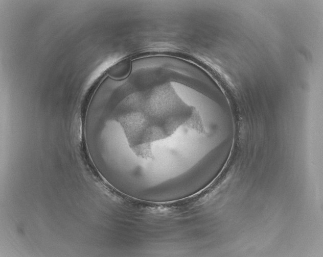 X0000115561317200911201814