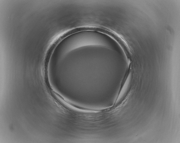 X0000115561319200911201814