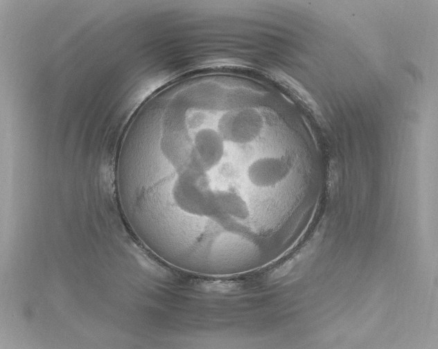 X0000115561321200911201814