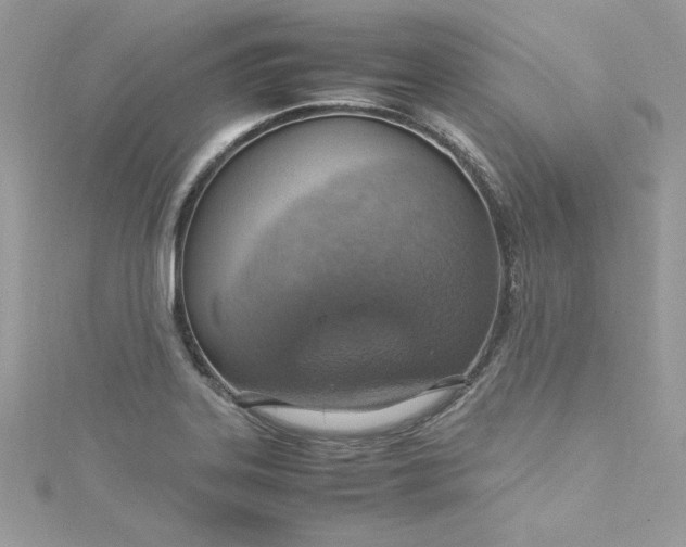 X0000115561323200911201814