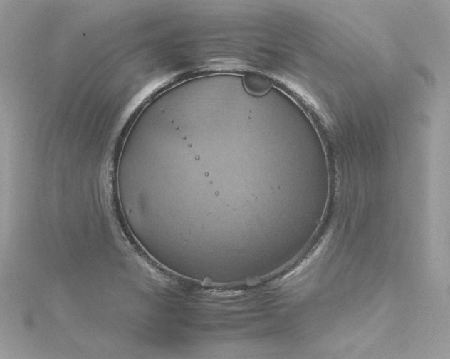 X0000115561325200911201814