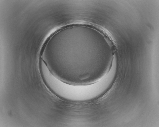 X0000115561326200911201814