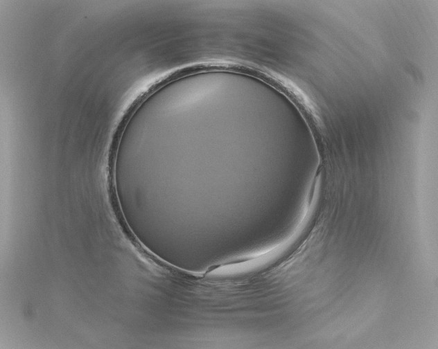 X0000115561327200911201814