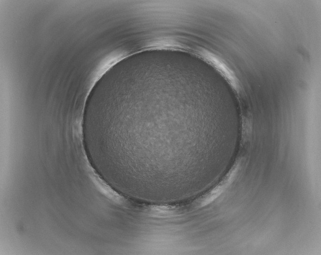 X0000115561330200911201814