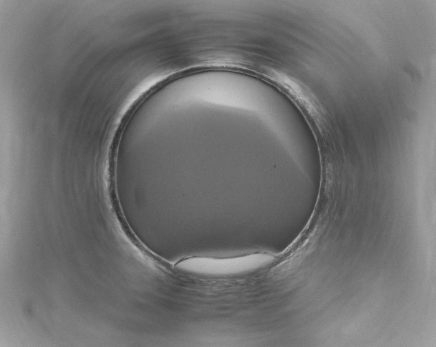 X0000115561331200911201814