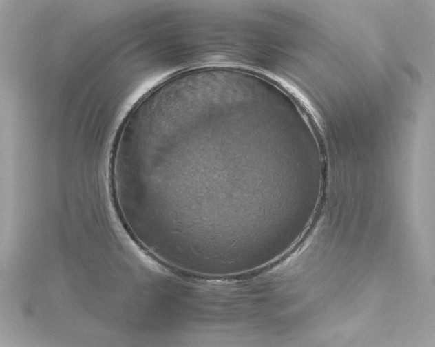 X0000115561333200911201814