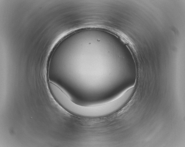 X0000115561334200911201814