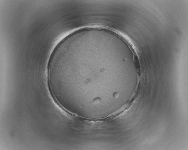 X0000115561335200911201814