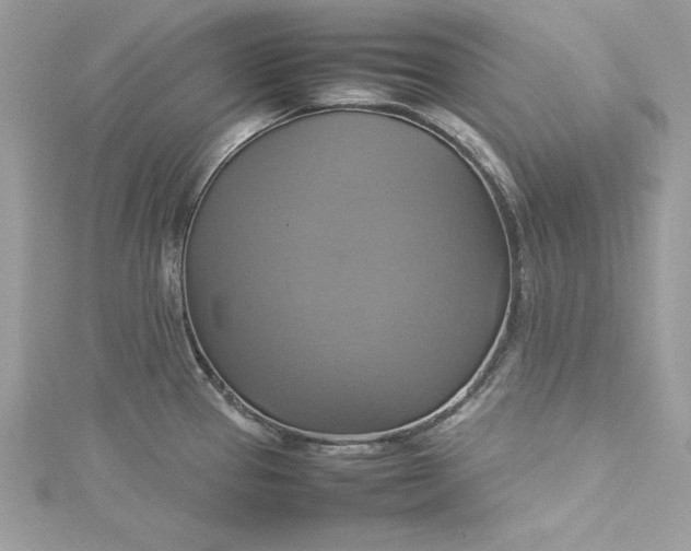 X0000115561337200911201814