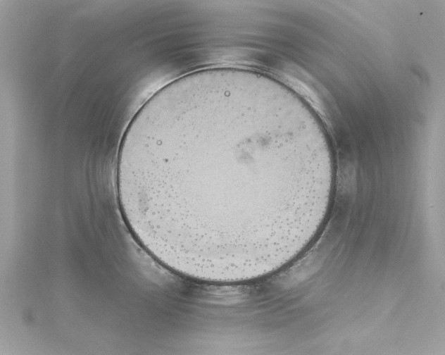 X0000115561338200911201814