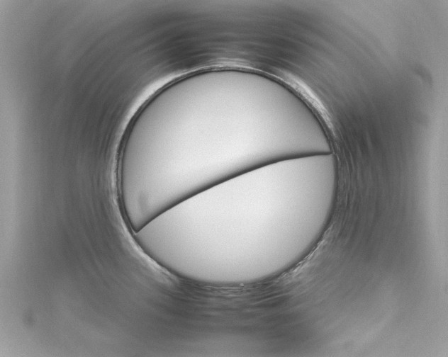 X0000115561339200911201814