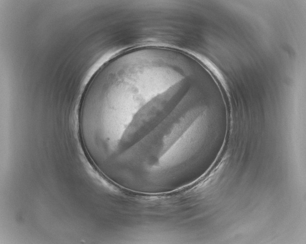 X0000115561341200911201815