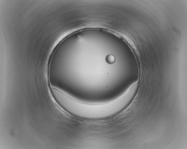 X0000115561342200911201815