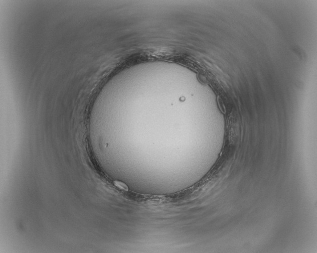 X0000115561345200911201814