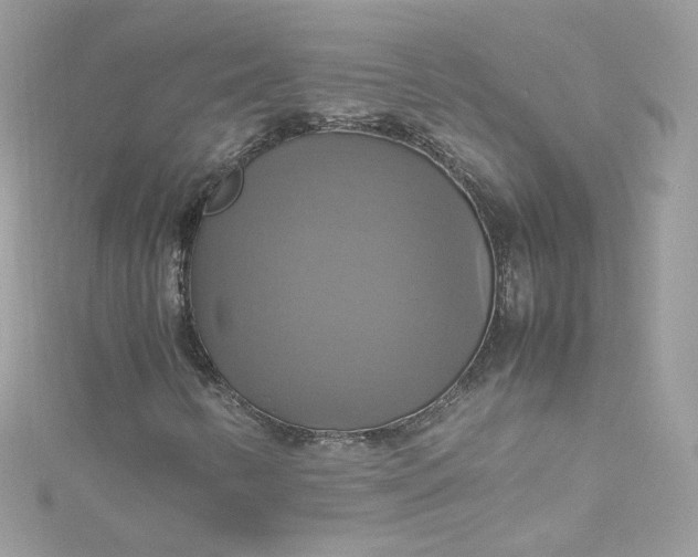 X0000115561346200911201814