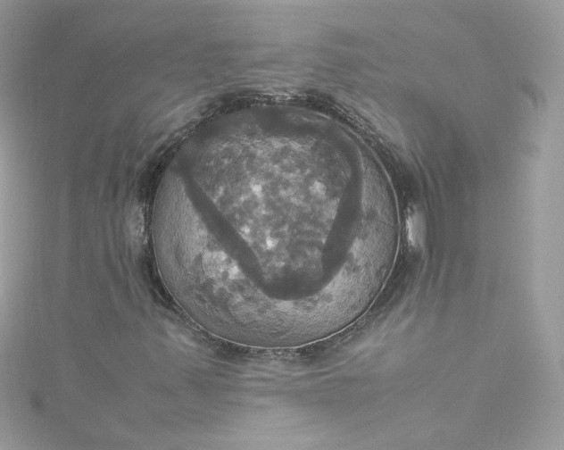 X0000115561347200911201814