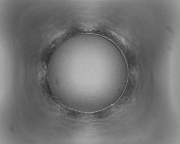 X0000115561349200911201814