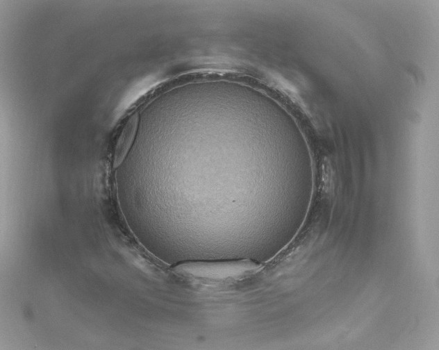 X0000115561352200911201814