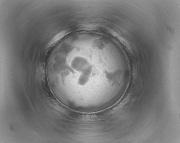 X0000115561354200911201814