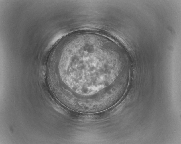 X0000115561355200911201814