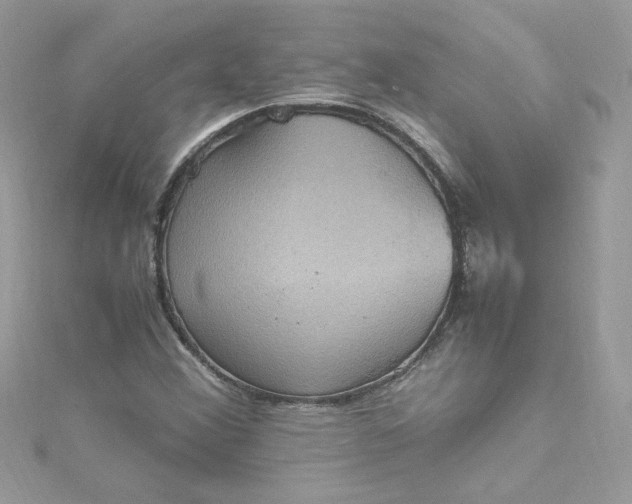 X0000115561356200911201814