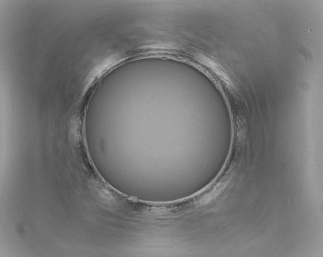 X0000115561357200911201814