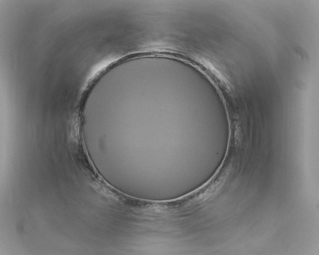 X0000115561358200911201814