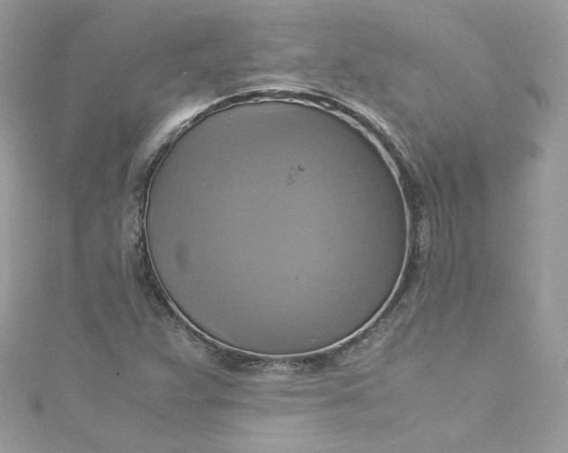 X0000115561359200911201814