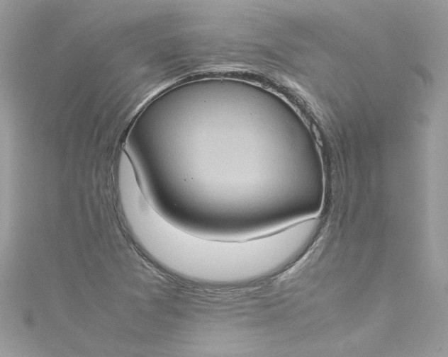 X0000115561361200911201814