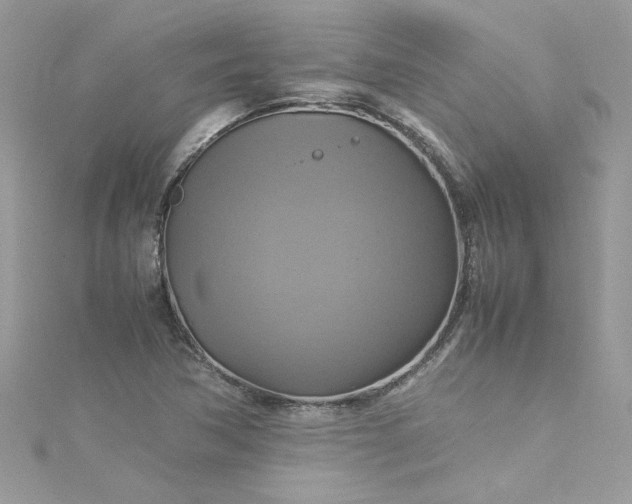 X0000115561362200911201814