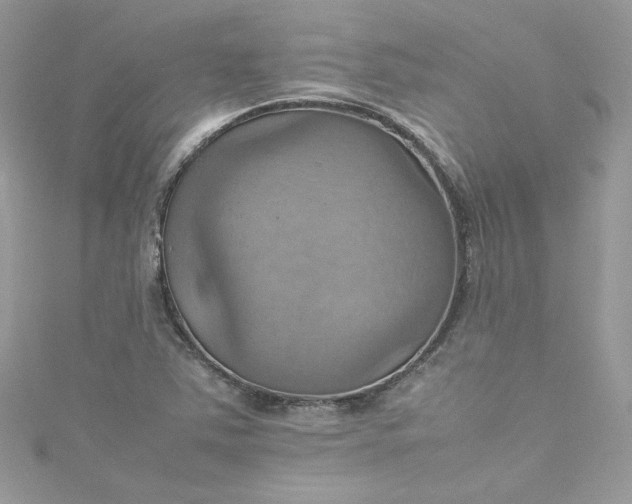 X0000115561363200911201814