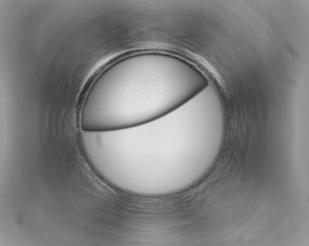 X0000115561364200911201814