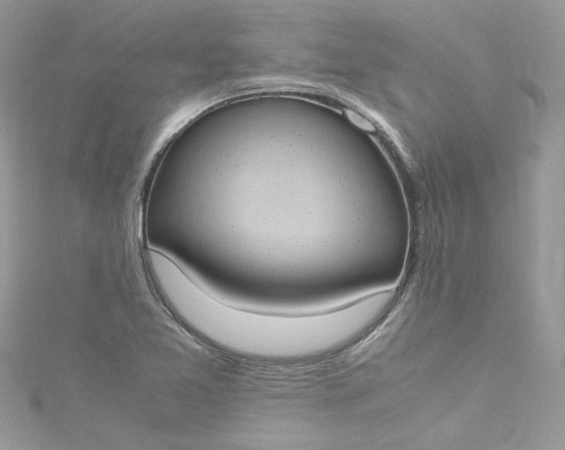 X0000115561365200911201814