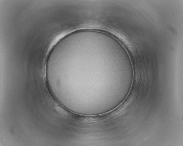 X0000115561366200911201814