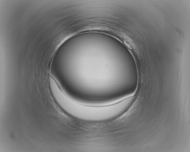 X0000115561369200911201814