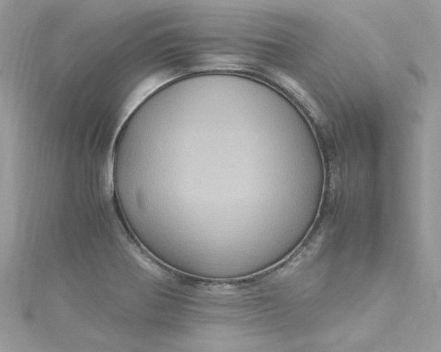 X0000115561370200911201814