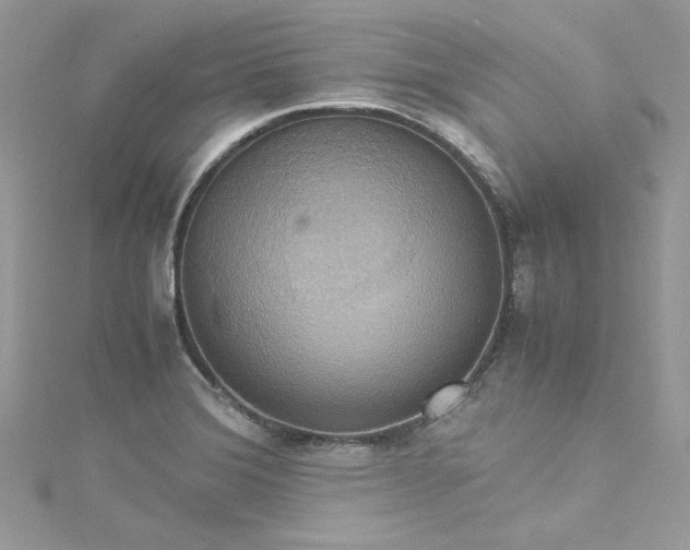 X0000115561372200911201814