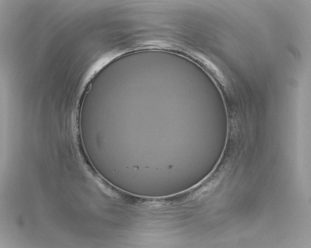 X0000115561373200911201814