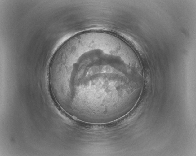 X0000115561375200911201814