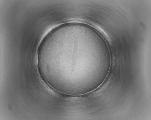 X0000115561376200911201813