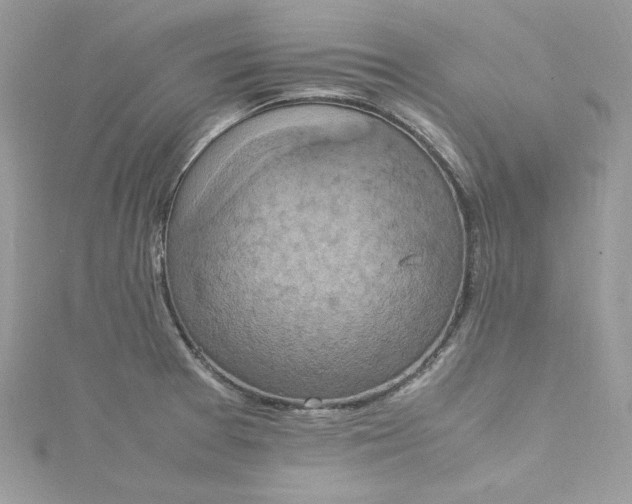 X0000115561377200911201813