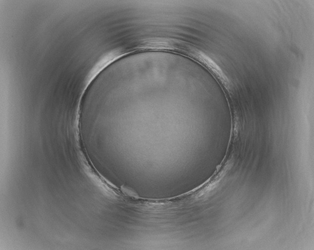 X0000115561378200911201813