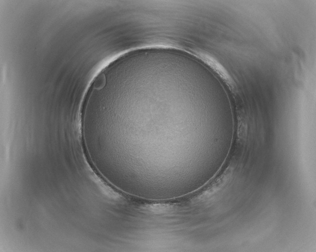 X0000115561380200911201813