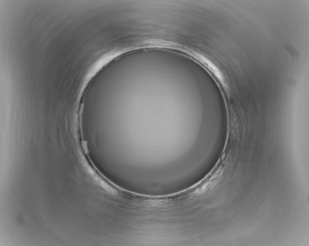 X0000115561381200911201813