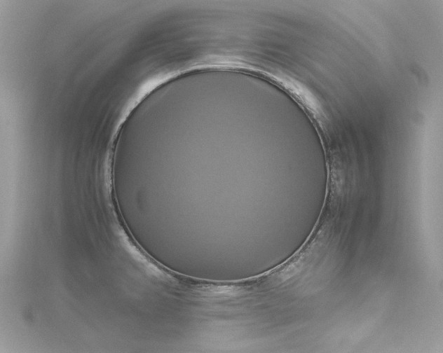 X0000115561382200911201813