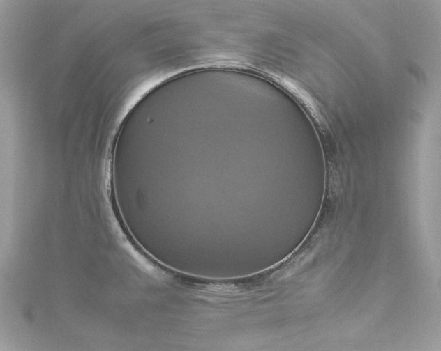 X0000115561383200911201813