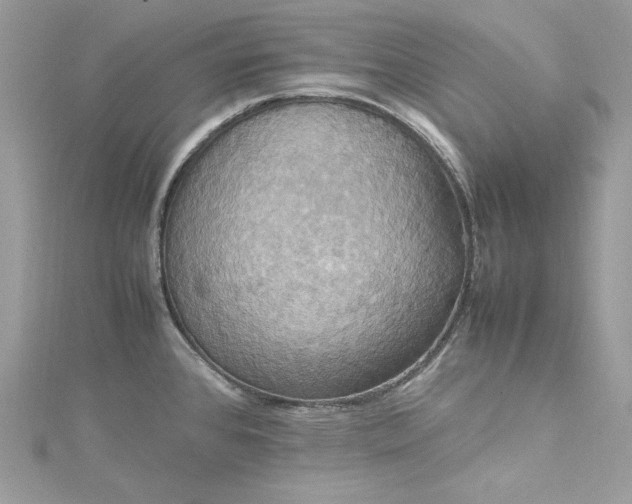 X0000115561384200911201813