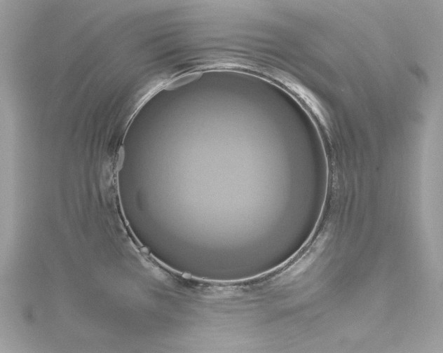 X0000115561385200911201813